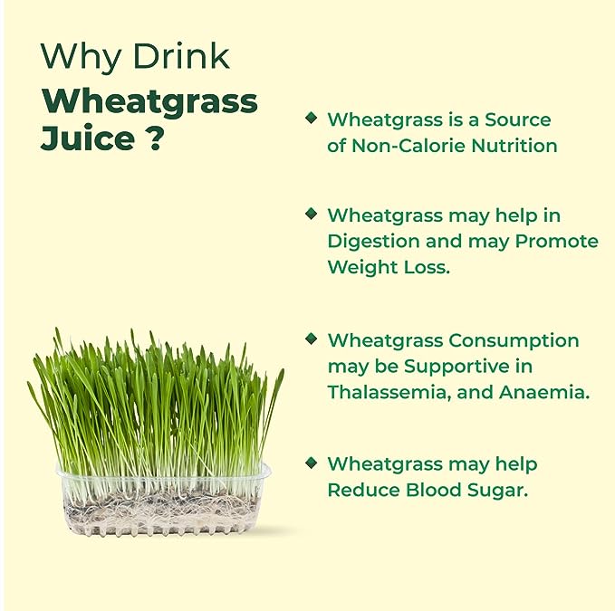 360 Degree Organic Wheatgrass for Help Detoxify the Liver, Cleanse the Digestive System, and Purify Blood- 500 ml