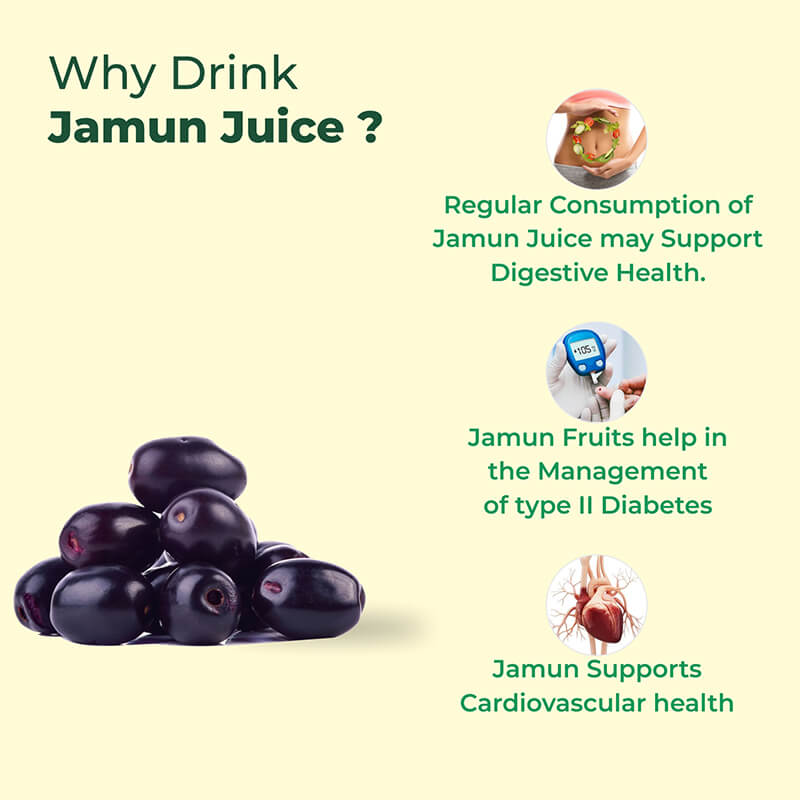 360 Degree Organic Jamun Juice for Helps Control Blood Sugar Level and Build Immunity - 500 ml