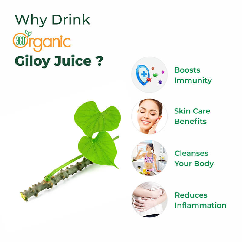 360 Degree Organic Giloy Juice for Boosts Immunity | Improves Digestion | Reduces Stress and Anxiety | Reduces Signs Of Aging - 500 ml