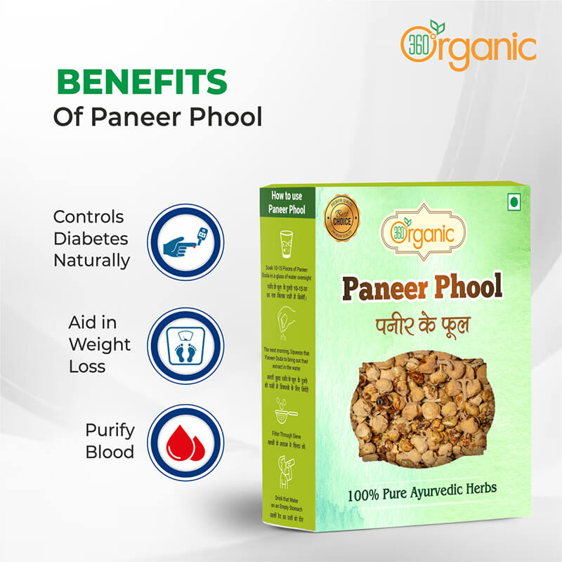 360 Degree Organic Pure Natural and Diabetes Friendly Paneer Phool Paneer Dodi Paneer Doda Paneer Ka Phool Paneer Ke Phool Indian Rennet Withania Coagulan For Diabetes - 200 gm