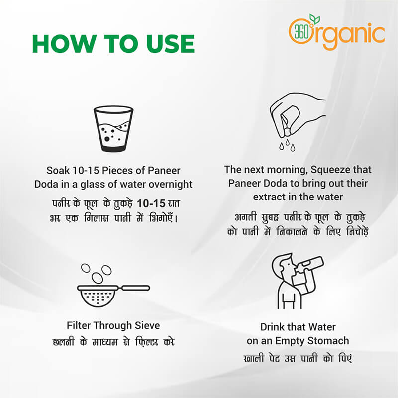 360 Degree Organic Pure Natural and Diabetes Friendly Paneer Phool Paneer Dodi Paneer Doda Paneer Ka Phool Paneer Ke Phool Indian Rennet Withania Coagulan For Diabetes - 200 gm