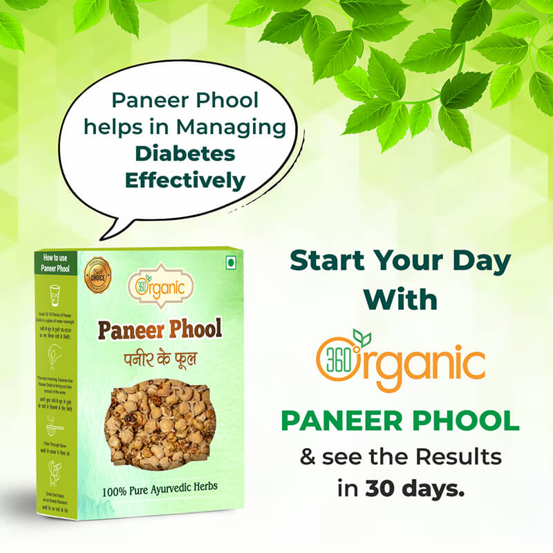 360 Degree Organic Pure Natural and Diabetes Friendly Paneer Phool Paneer Dodi Paneer Doda Paneer Ka Phool Paneer Ke Phool Indian Rennet Withania Coagulan For Diabetes - 200 gm