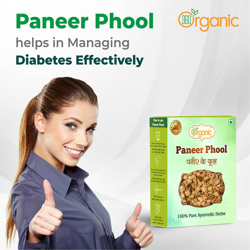 360 Degree Organic Pure Natural and Diabetes Friendly Paneer Phool Paneer Dodi Paneer Doda Paneer Ka Phool Paneer Ke Phool Indian Rennet Withania Coagulan For Diabetes - 200 gm